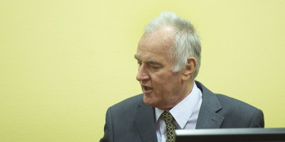 ''Srbija će na sednici Saveta bezbednosti UN istaći Mladićev slučaj'': Vujić najavio nove korake