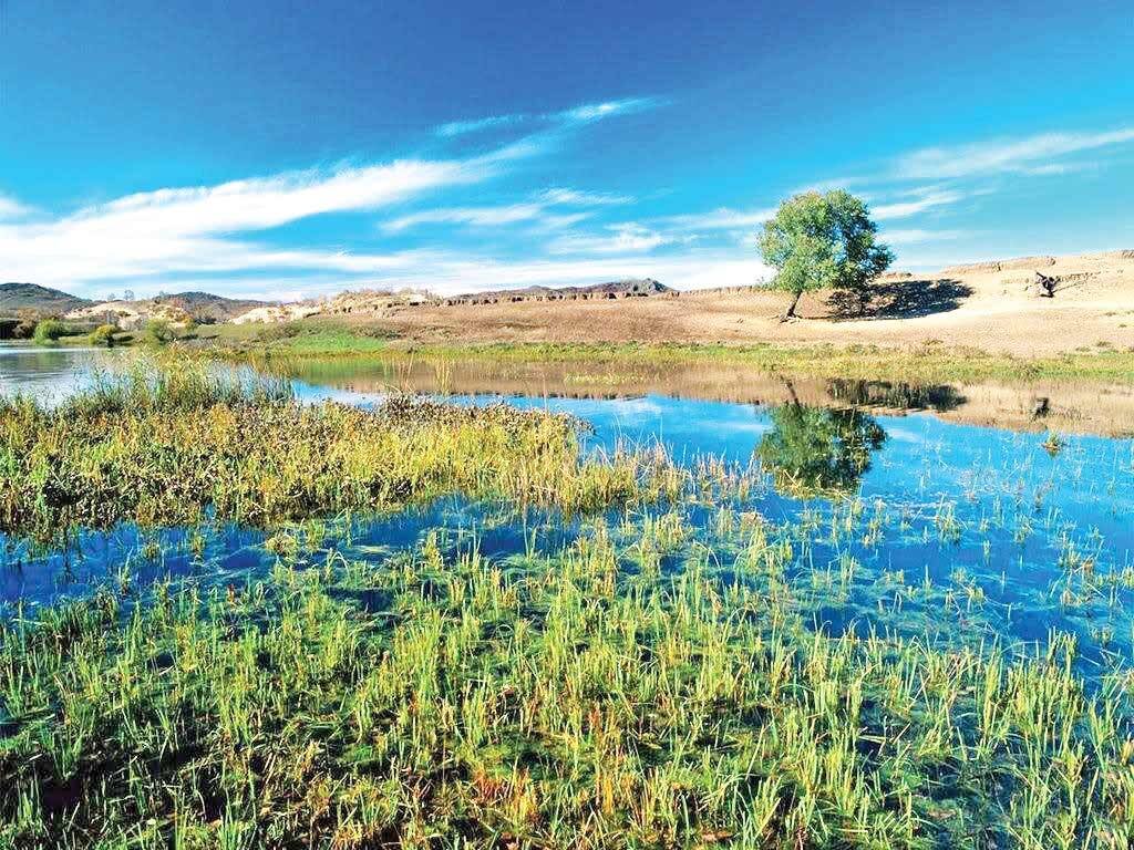 DOE issues title deeds for 22 wetlands