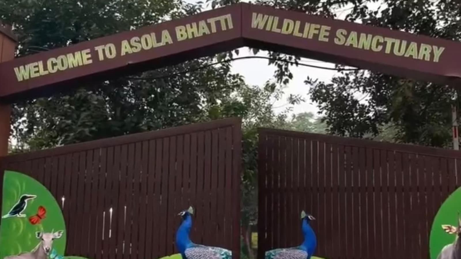 Delhi government plans Miyawaki forest plantation at Asola-Bhatti Wildlife Sanctuary