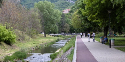 "Ima rog na glavi, nešto je povređen": Šok prizor u Sokobanji - Ljudi panično beže! (FOTO)