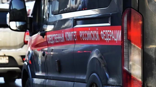 В Ленинградской области нашли тела двух туристов, пропавших 19 июля