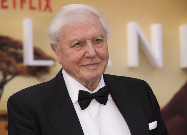 David Attenborough 100 år – ”Överväldigad”
