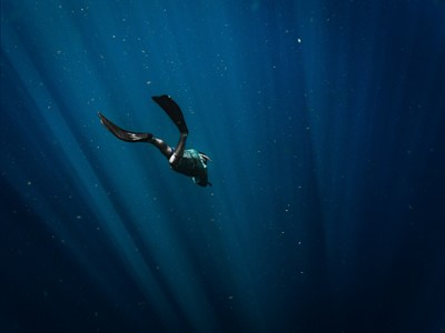 Kisik ubrzano nestaje iz oceana i slatkovodnih sustava
