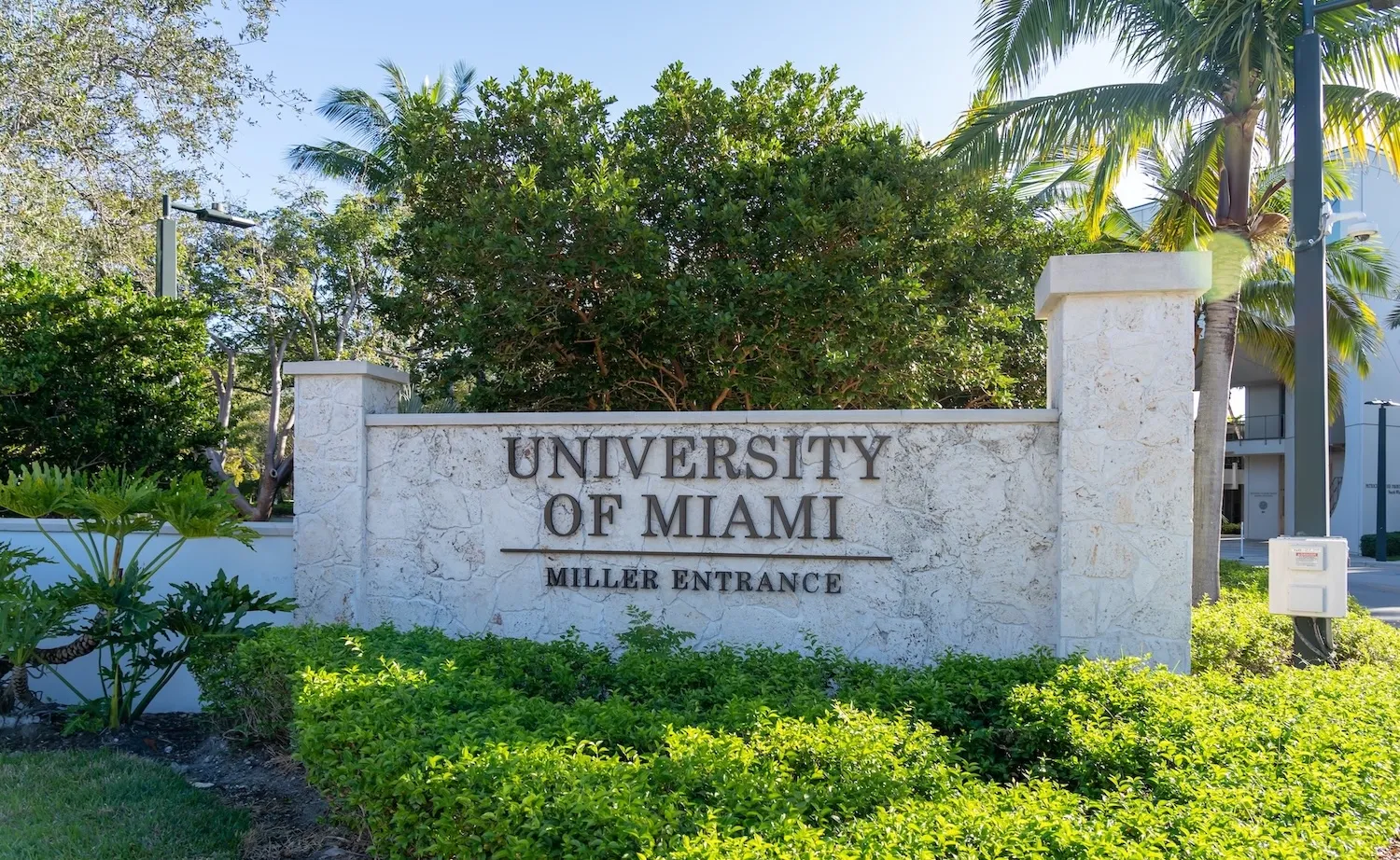 UM Phi Delta Theta chapter under investigation for hazing