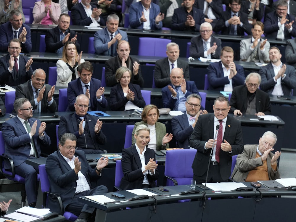 Bundestag: Haben sich AfD-Abgeordnete durch Werbeeinnahmen bereichert?