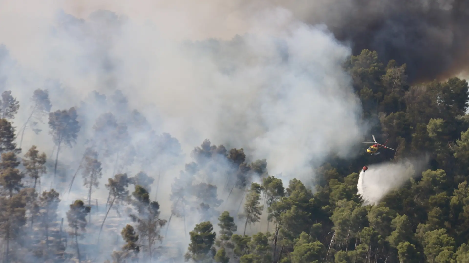  Tres incendios forestales simultáneos obligan a confinar a miles de personas en Catalunya 