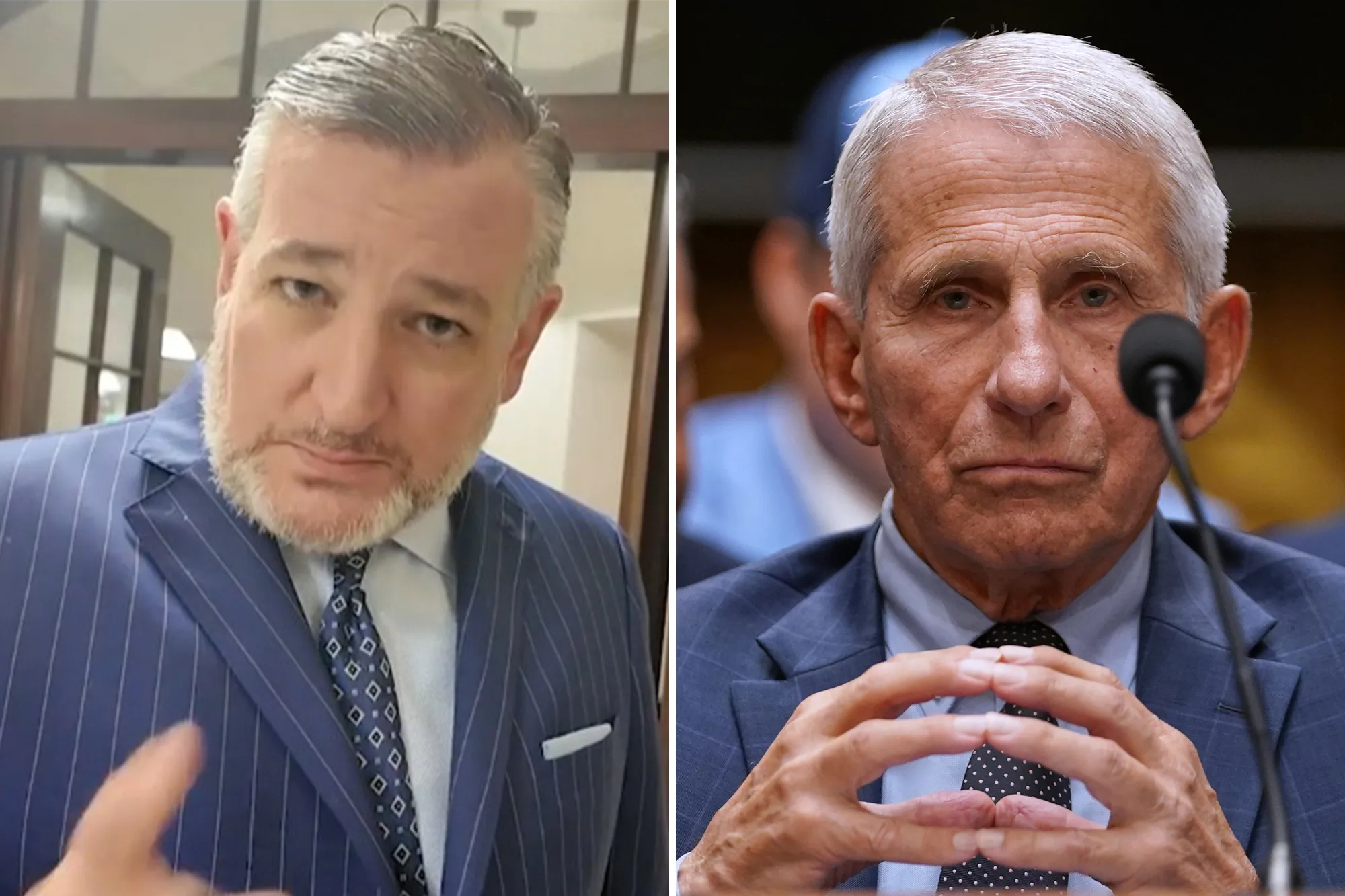 Dr. Anthony Fauci ‘America’s most damaging bureaucrat,’ ‘should go to jail,’ Sen. Ted Cruz says