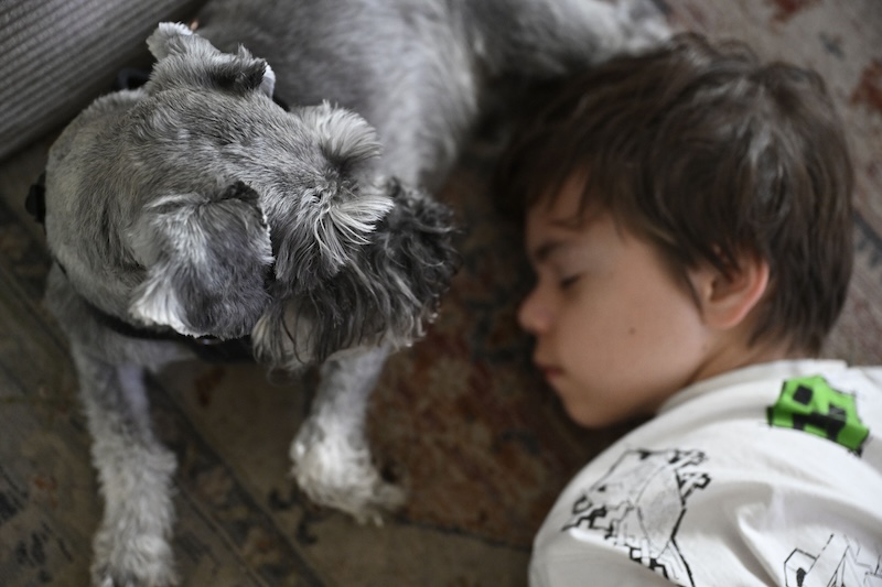 Study links pet dogs to fewer childhood infections