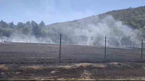Incendiu la Sebiș: focul s-a extins la terenul de sport și la grădinile din zonă
