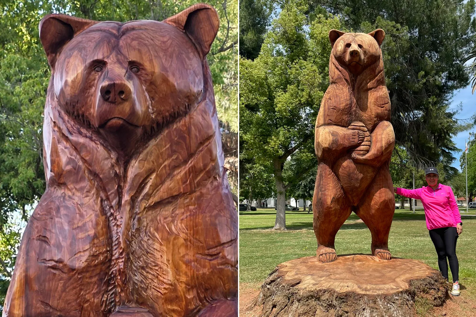Central California’s lumbering wood beast needs a name