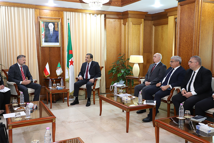 مقترحات مشاريع مشتركة لإنتاج الميثانول والميلامين وحمض الفوسفوريك