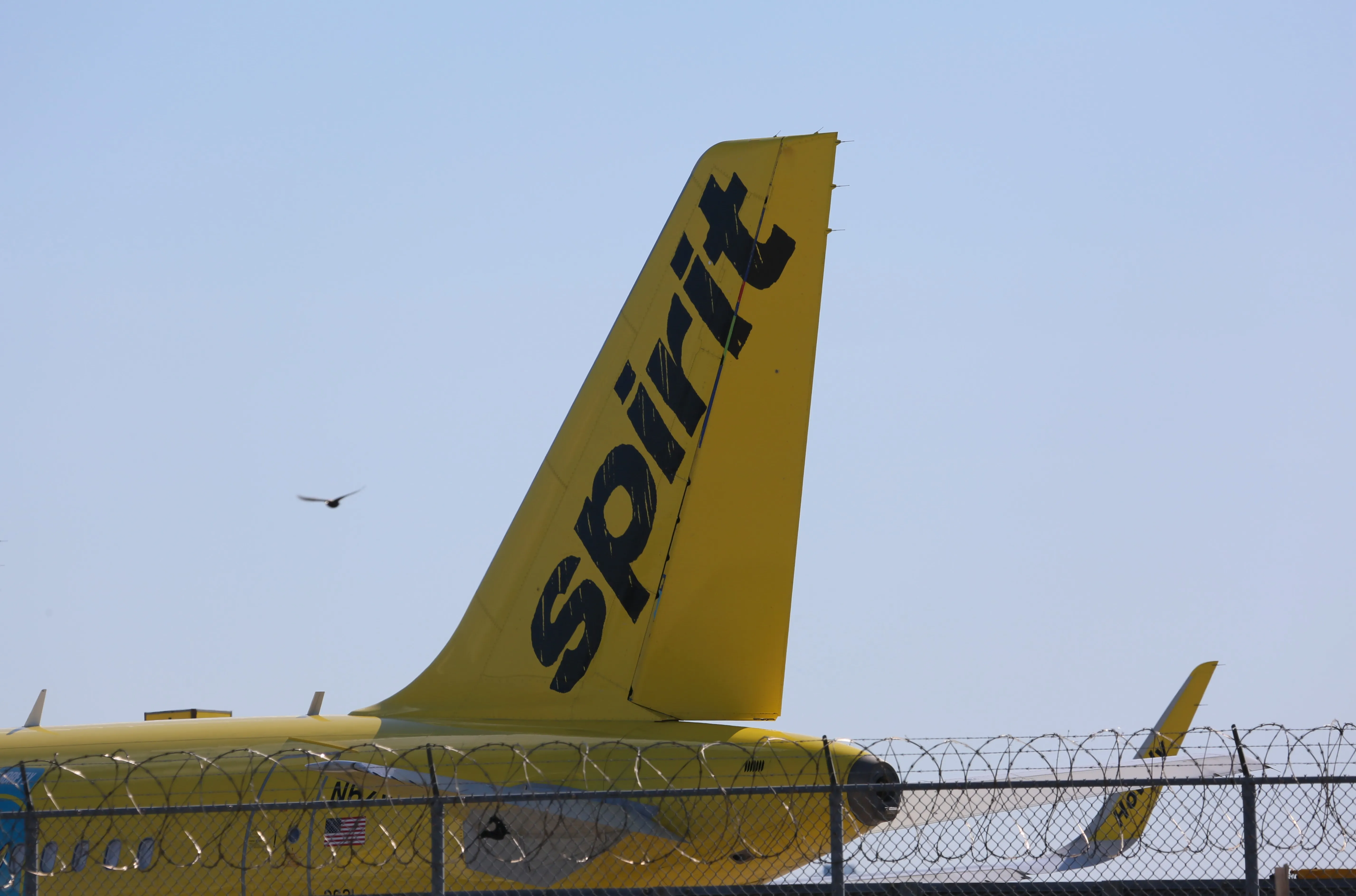 Democrats’ fingerprints are all over the Spirit Airlines crime scene