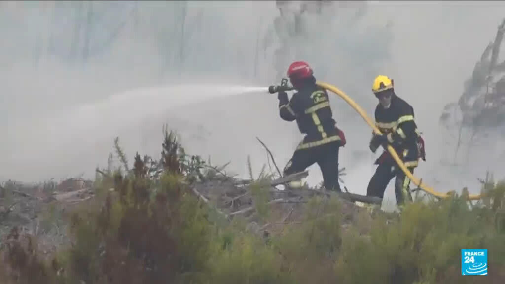 France wildfire: Local economy faces huge rebuilding and reforestation bill