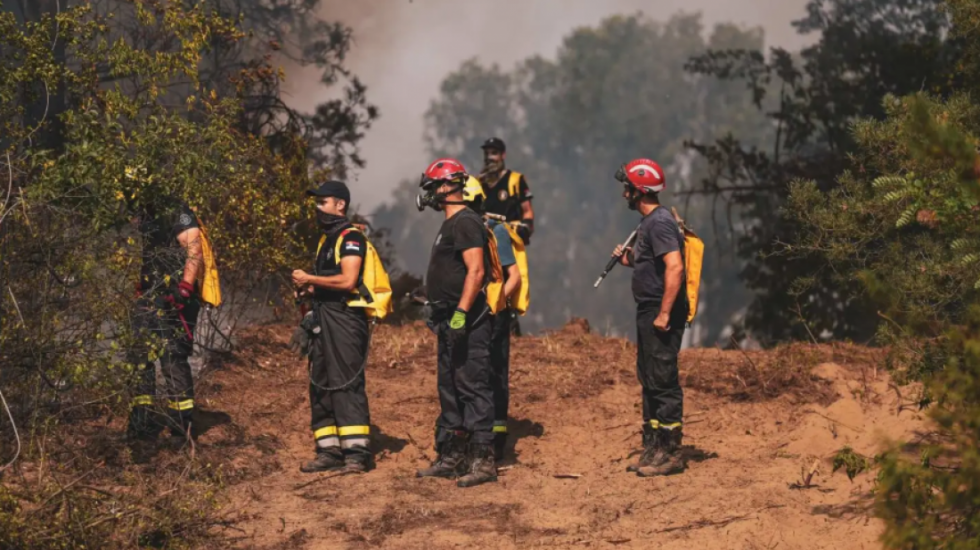 Požar kod Bojnika: Vatra se zbog vetra i vrućine brzo širi, meštani spasavaju kuće