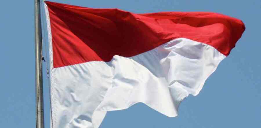 Indonezija zainteresovana za ruske tehnologije u energetici