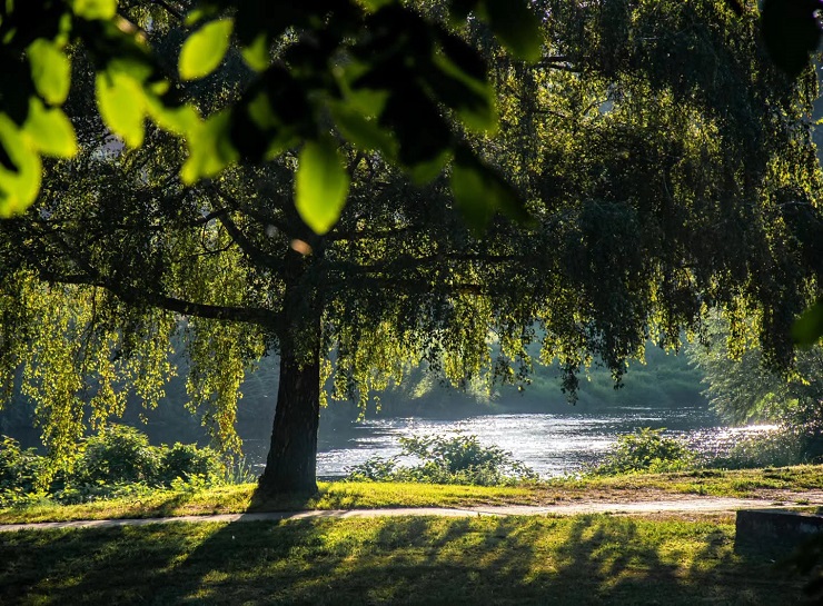 Novi porast temperature uz sunčano vreme