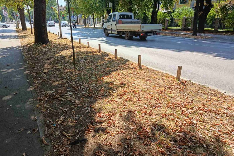 Nije oktobar, nego august: Banjalučke ulice prekrilo opalo lišće