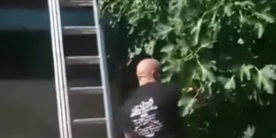 Ovo je neverovatno: Vladica se umalo potukao sa zmijom - kamera sve snimila (VIDEO)