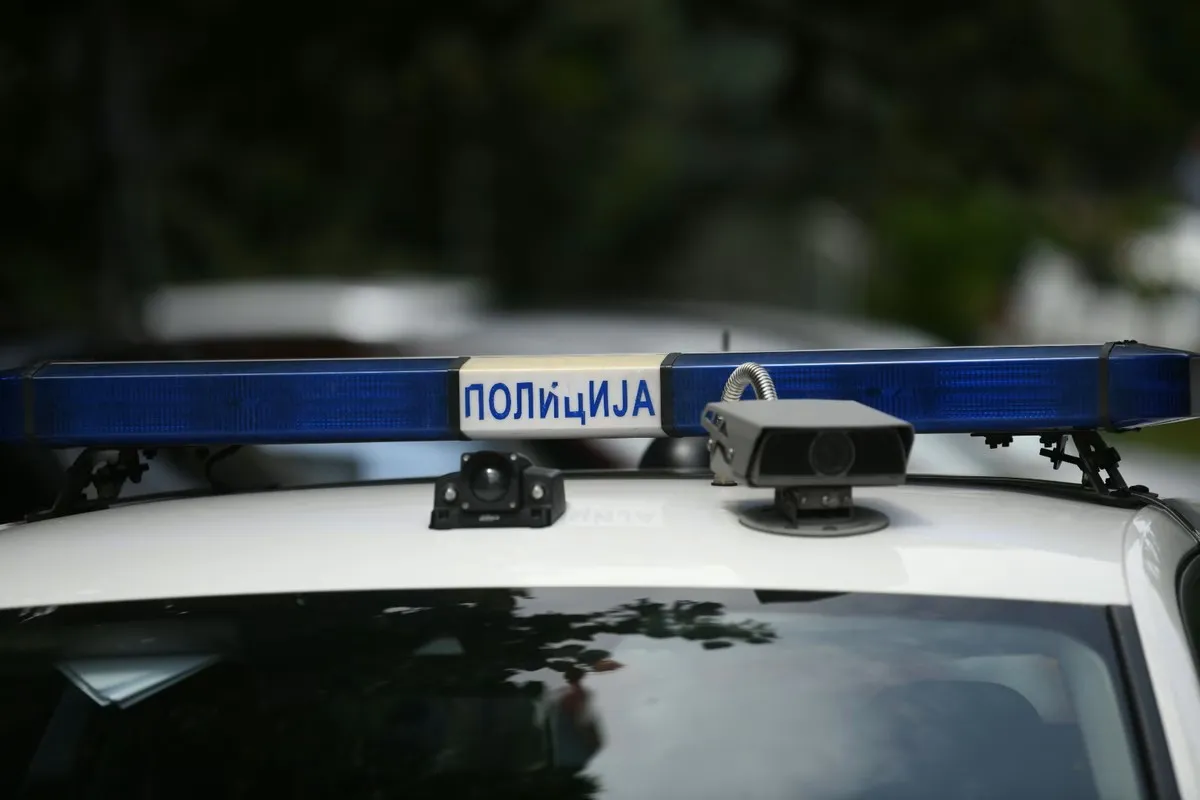 Sudar policijskog auta i vozila Srbijašuma u Deliblatskoj peščari