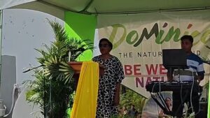 Wellness Fair 2026 – Flagship event of the 2026 Tourism Awareness Program