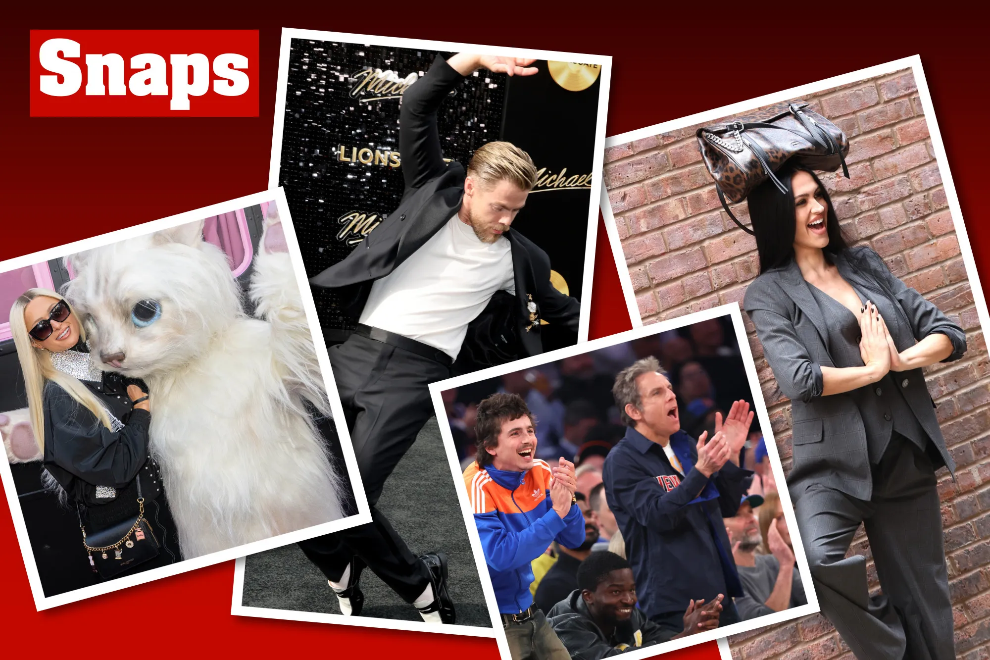 Star snaps of the week: Paris Hilton, Timothée Chalamet, Ben Stiller and more