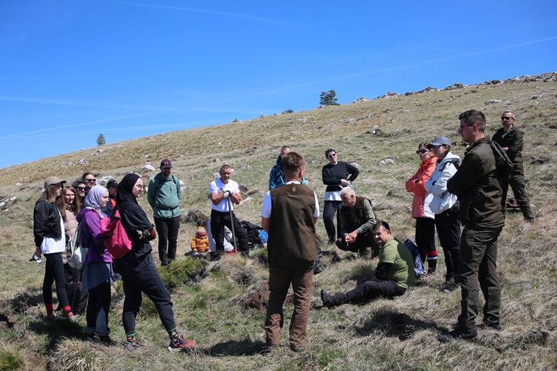ACT-ova akcija pošumljavanja u okolini Tomislavgrada!