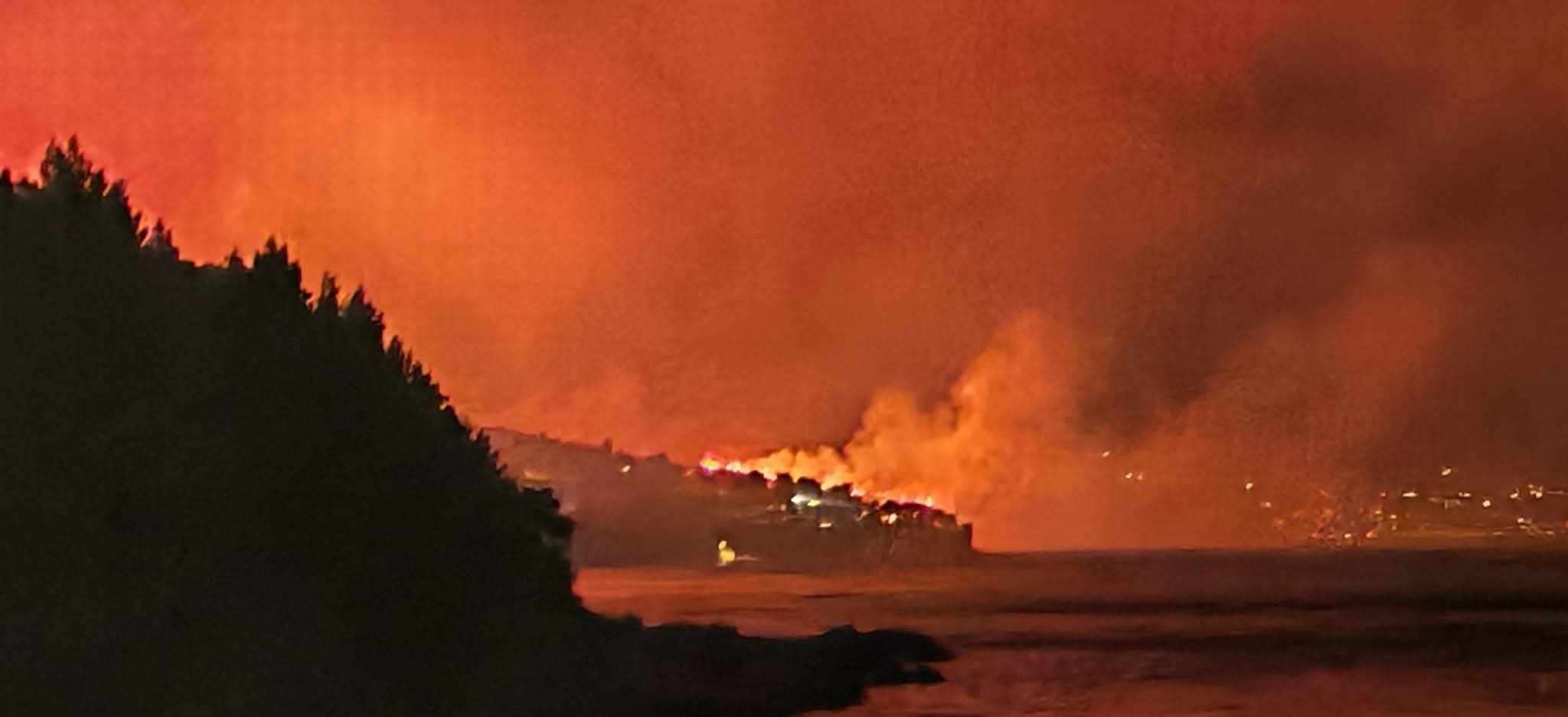 Veliki požar kod Lokve Rogoznice: evakuirano nekoliko osoba, D8 zatvorena za promet