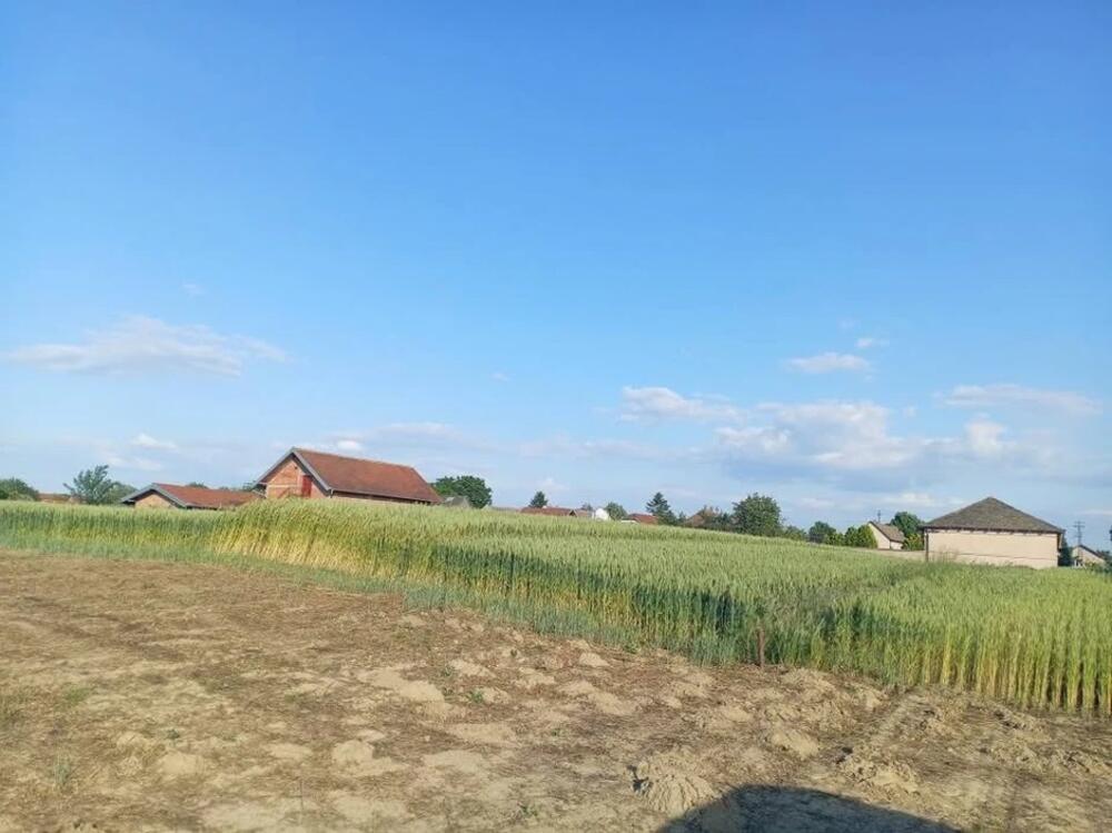 Placevi kod Beograda sada jeftiniji za 5.000 evra: Tanja daje za 20.000 evra građevinsko zemljište, sve je upisano!