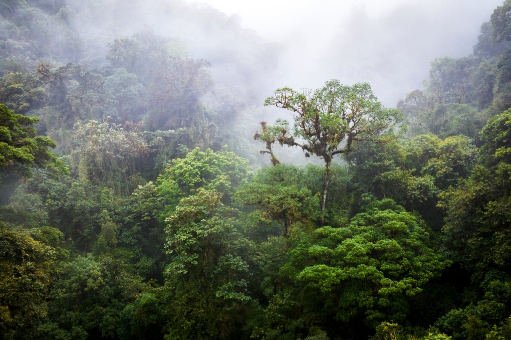 A Snake Bite Revealed How We Can Help Heal the Planet