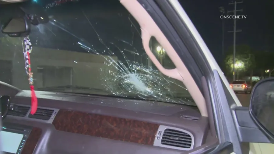 Family's SUV hit by rock thrower on 110 Freeway in South L.A.