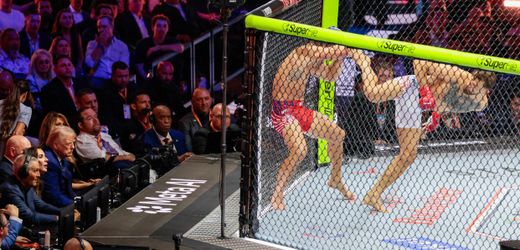 Donald Trump feiert 80. Geburtstag - mit UFC-Käfigkampf vor dem Weißen Haus: die Fotos