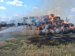 Incendiu la Cintei: ard baloți de paie