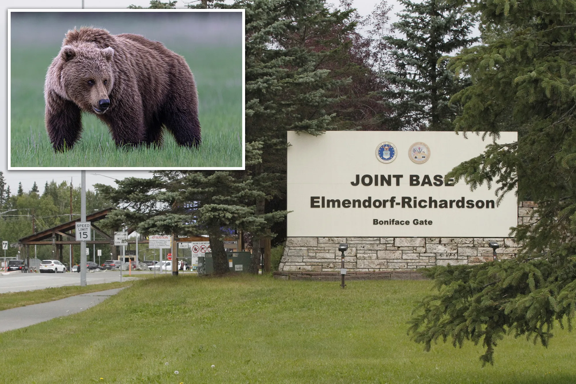 Brown bear attacks soldiers training in Alaska