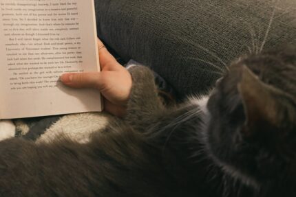 Scroll-break | 5 sadržaja koji su sjajna alternativa večerašnjem doomscrollanju