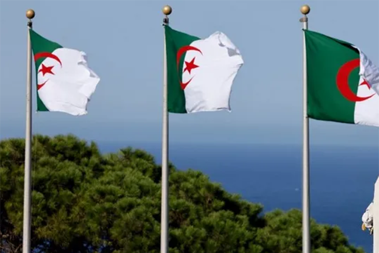 الجزائر وإفريقيا… من خطة “دولة ناشئة” إلى حلم القارة الصاعدة!