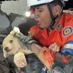 Pas izvučen živ nakon što je bio zarobljen osam dana pod ruševinama u Venezueli