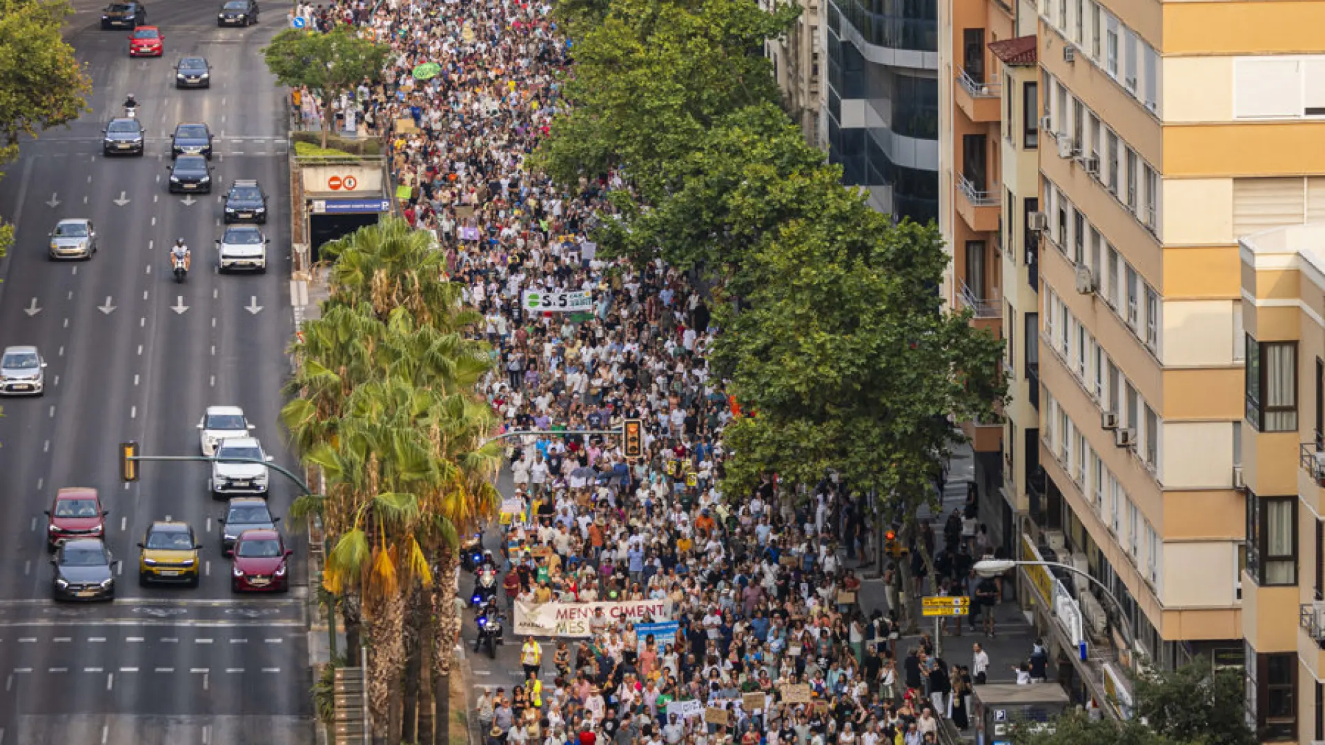  "No caben más": decenas de miles de personas exigen que decrezcan los turistas en Mallorca 