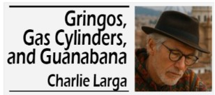 Going through the trees