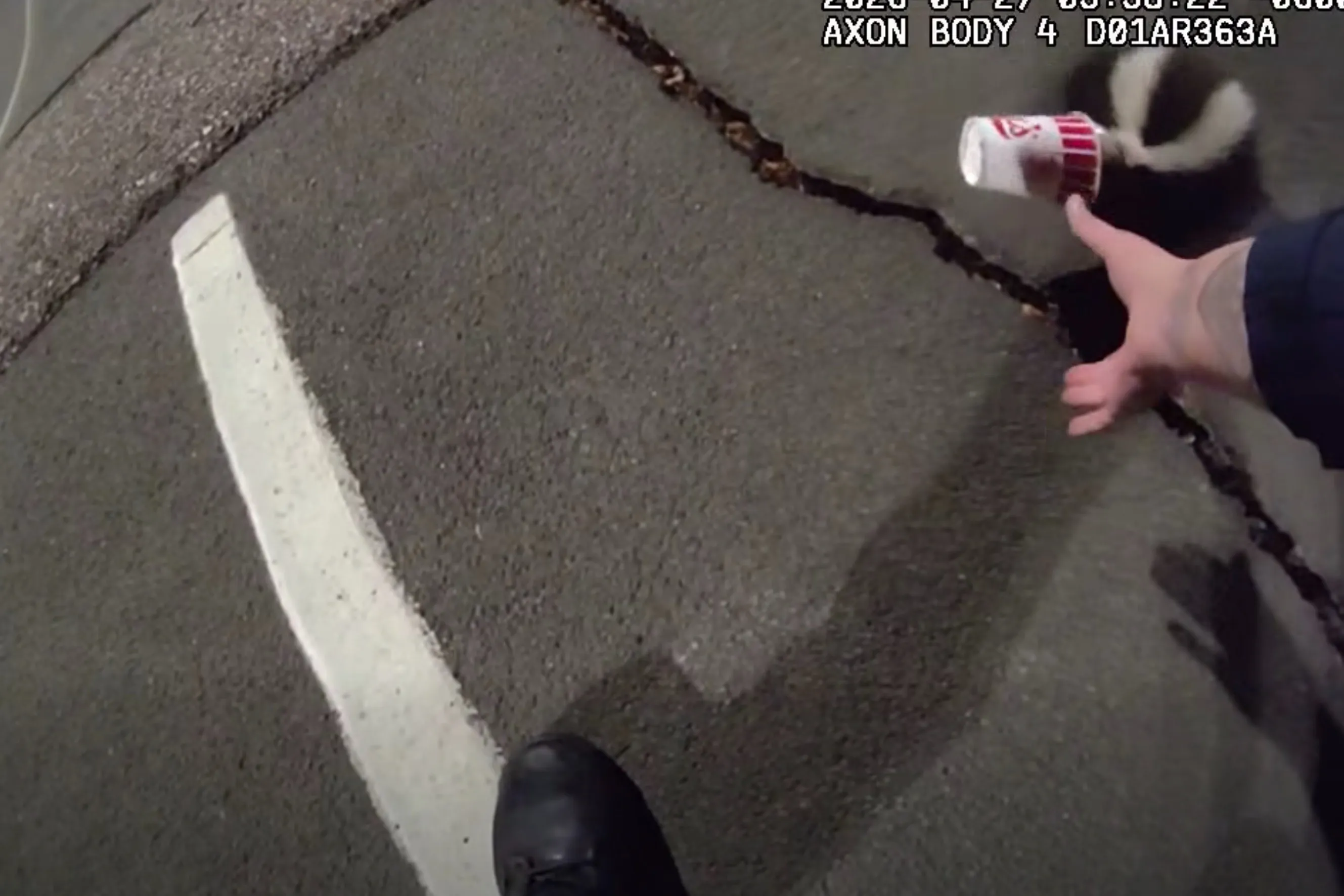 Colorado police rescue unlucky skunk stuck in a cup