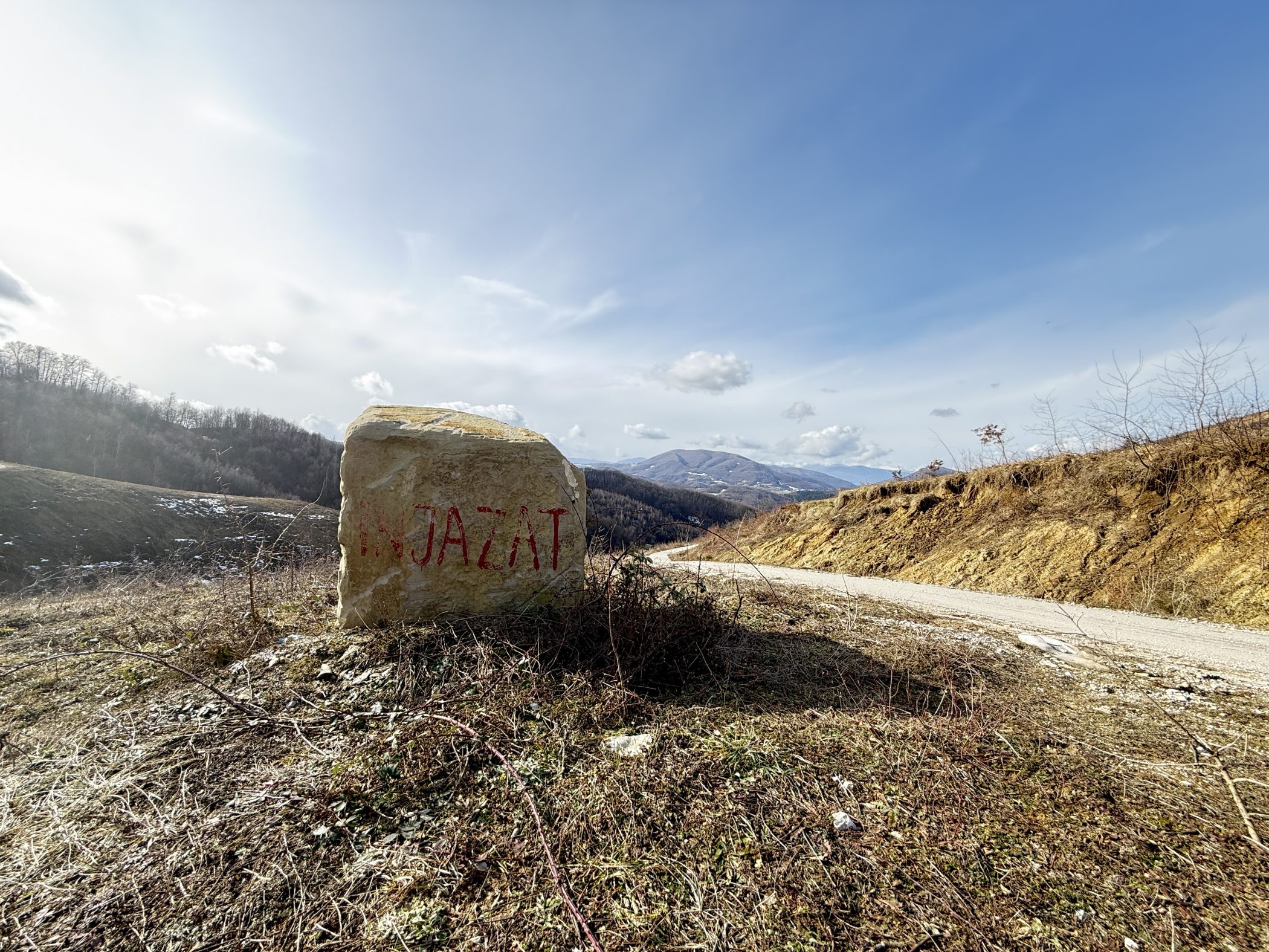 KO JE JOŠ PREVARIO VISOČAKA, OSIM ARAPA? Kuvajtski biznis, pustošenje bosanska šuma i iluzija kupcima iz Zaljeva