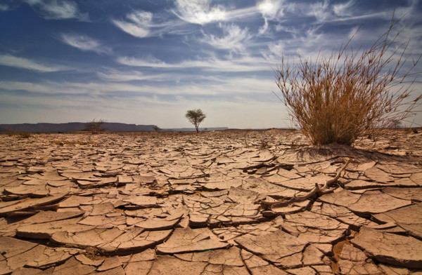 CJID expands support for environmental and climate journalism in West Africa