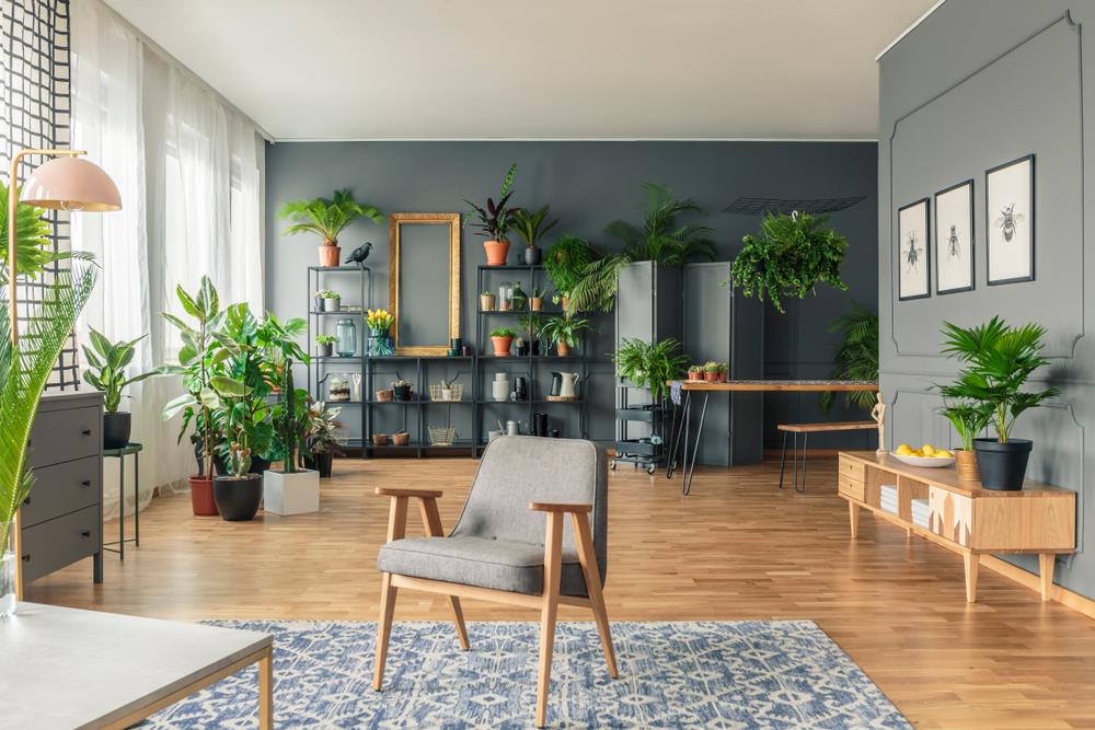 Saveti kako da odaberete savršenu boju zidova za vašu dnevnu sobu