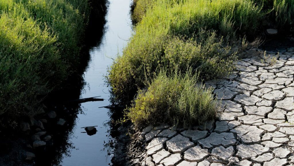 Italy waterways in ‘critical state’ from drought: authority