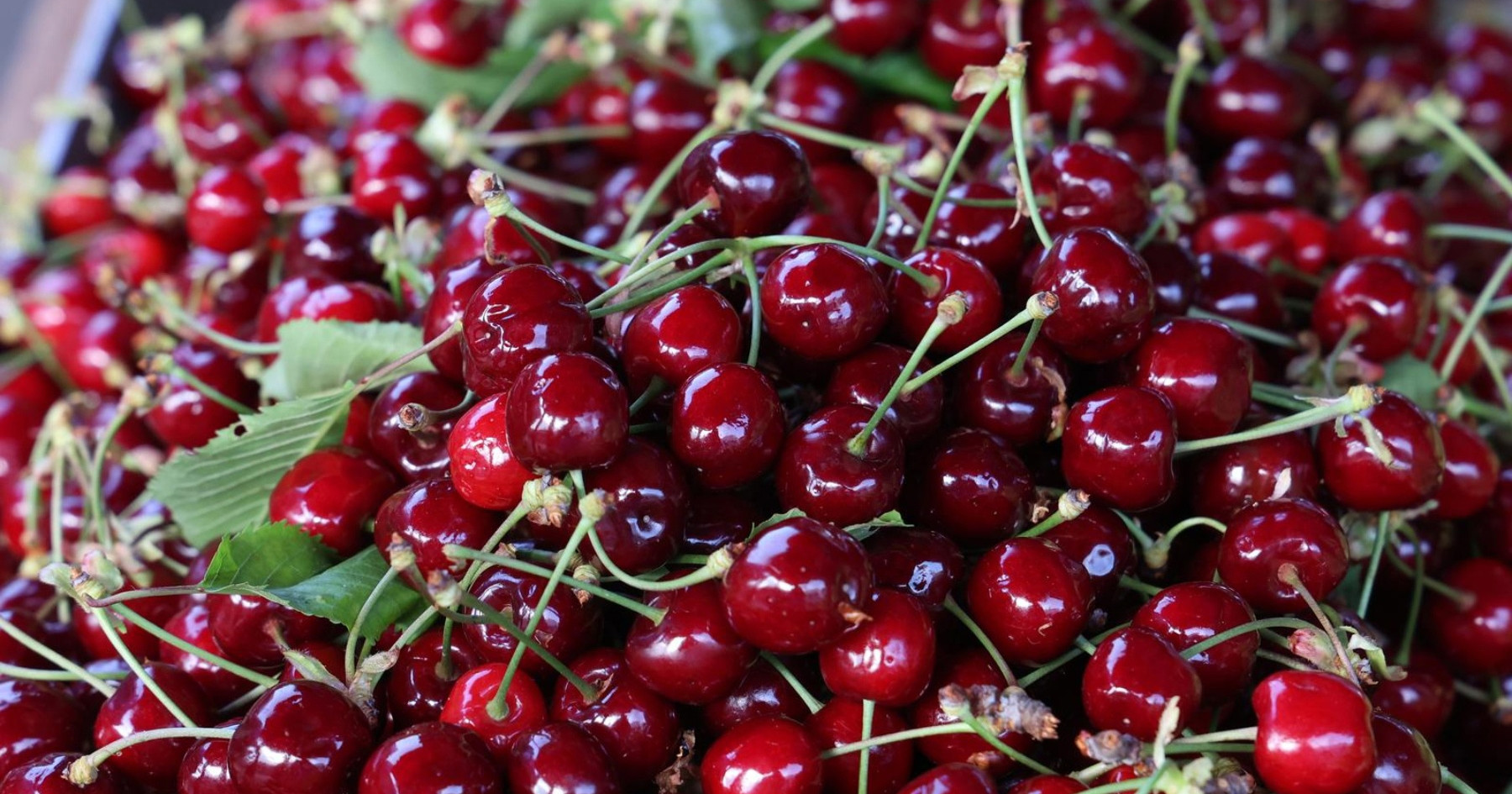 Janjetina s ražnja cjenovno gotovo dostigla trešnje na Benkovačkom sajmu