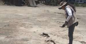 Funvisis evalúa deformaciones del suelo en La Guaira y Yaracuy tras terremotos