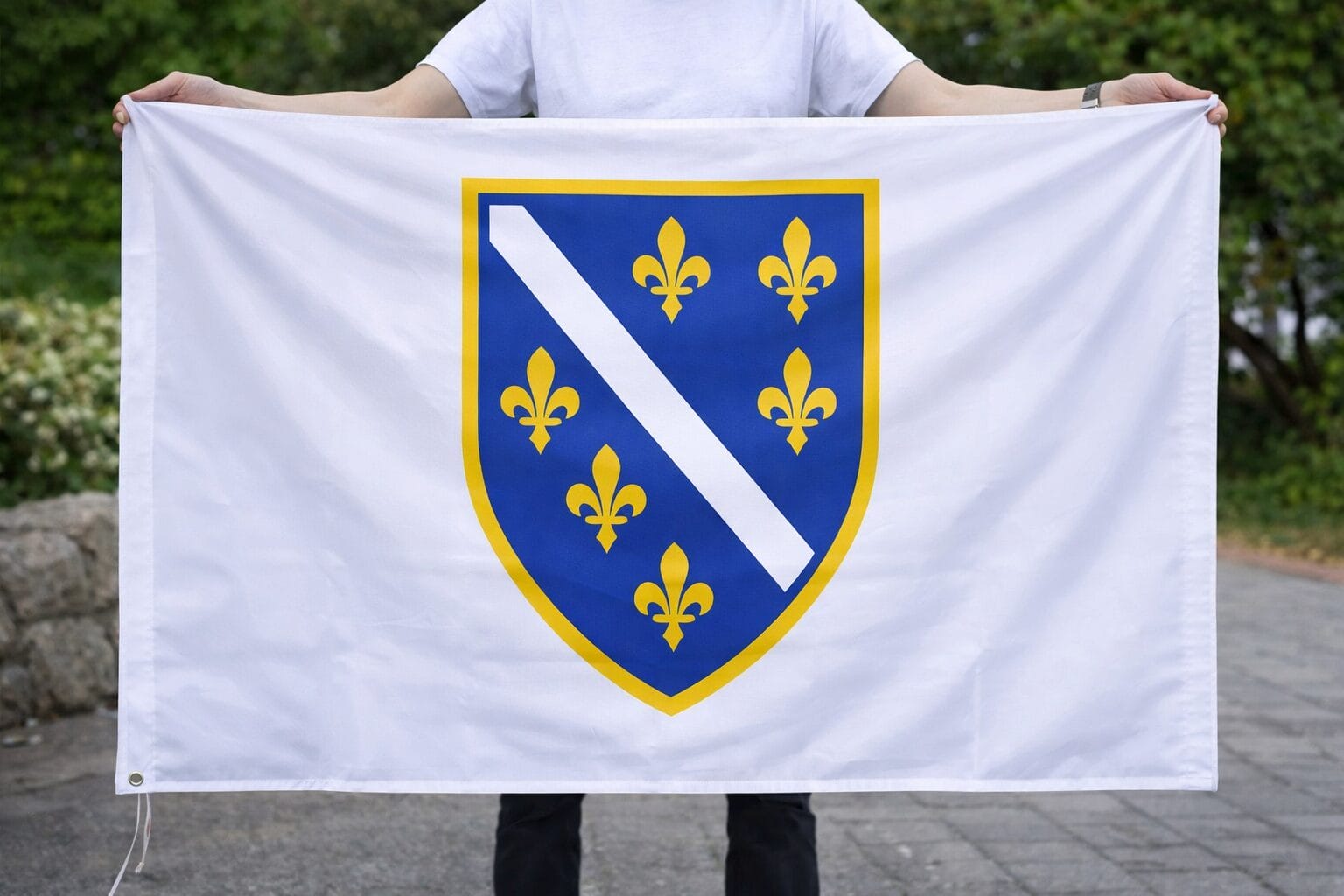 Vlada RS predložila kaznu zatvora za isticanje zastave s ljiljanima