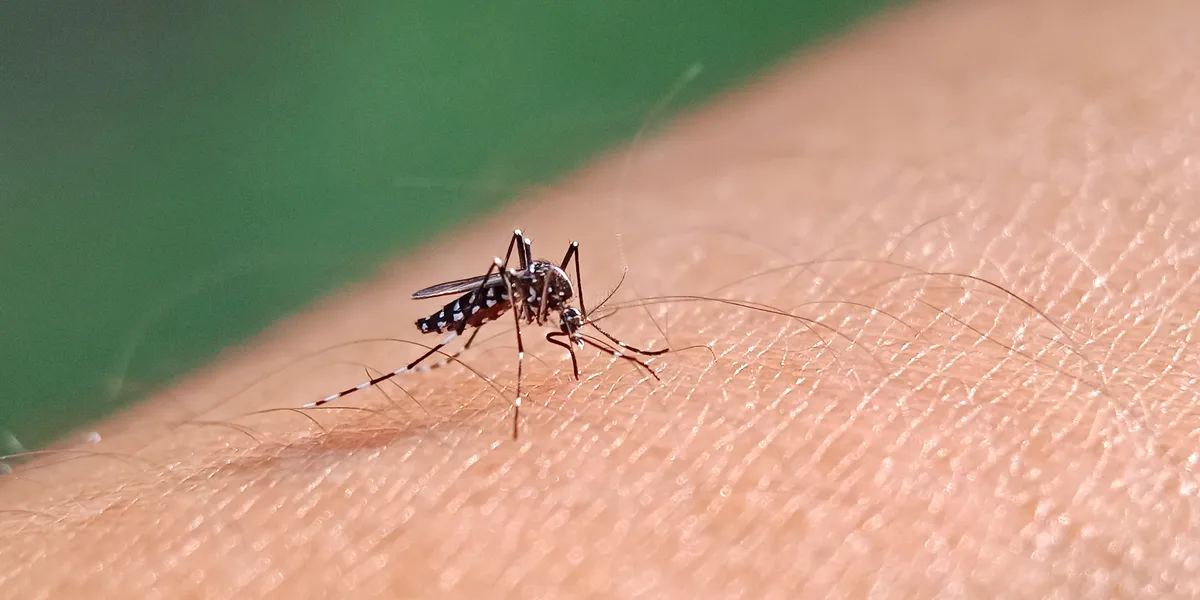 U predgrađima Beograda u utorak suzbijanje komaraca sa zemlje i vode