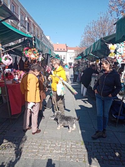 MANIFESTACIJA „BUM MARKET“ OVOG VIKENDA NA PIJACI „ZEMUN“