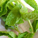 Kako da iskoristite svežu mentu – tri sjajne ideje