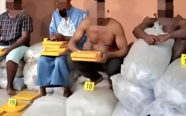 Gabon : 1,3 tonne de cannabis interceptée, huit suspects écroués